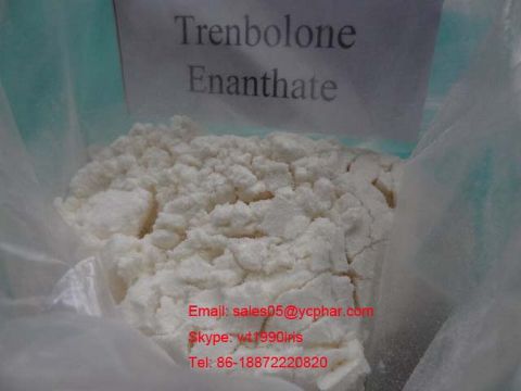 Trenbolone Enanthate(Parabola)  Sh-Tbs002